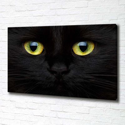 Cat'S Eyes - Wrapped Canvas Print