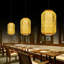 Ambert 1 - Light Unique/Statement Chandelier