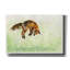 Toile épique «Leaping Fox» par Anika Goodhue-106171694