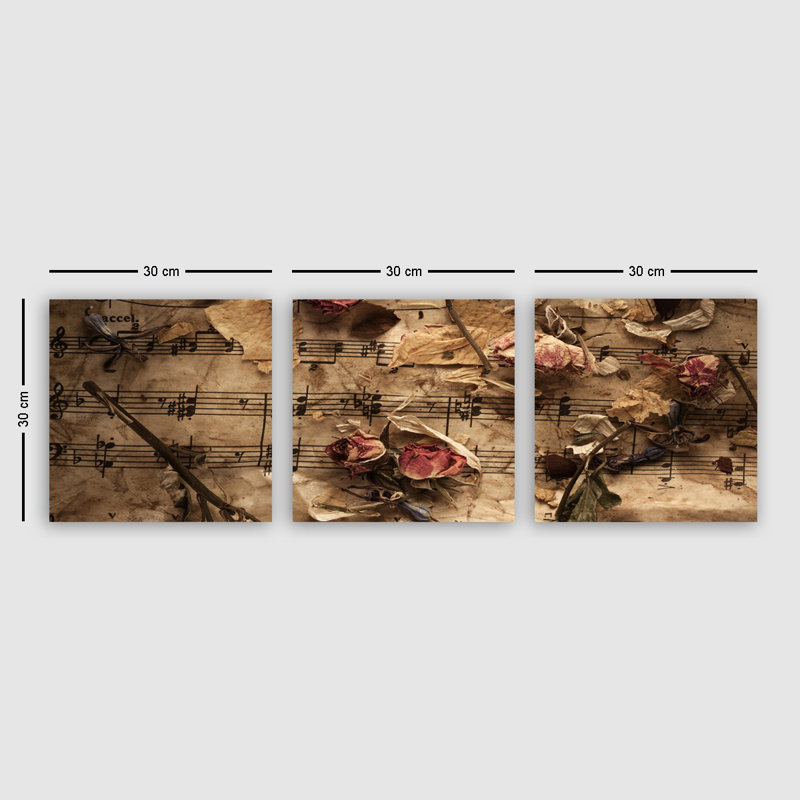 Superbe ensemble de peinture sur toile décorative (3 pièces), 100% toile, taille totale: 11,8 x 35,4 pouces | 100% cadre en bois, épaisseur: 1,2 po | Parfait pour le salon, la chambre à coucher et le bureau, collection d'art accrocheuse