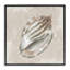 Conch Shell sur giclée encadrée de motifs rétro, design par Conrad Knutsen-22186606-22186604