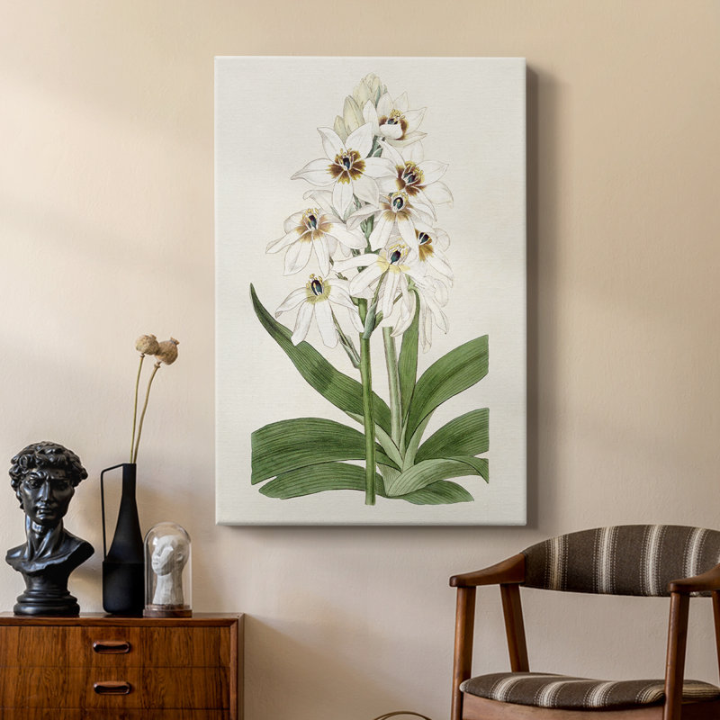 Flore Albo I - Gallery Cavas