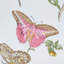 Baudin Butterfly Chintz Fabric-49396789