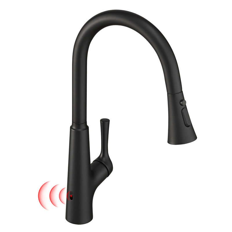 FLG Pull Down Touchless Kitchen Faucet, Matte Black