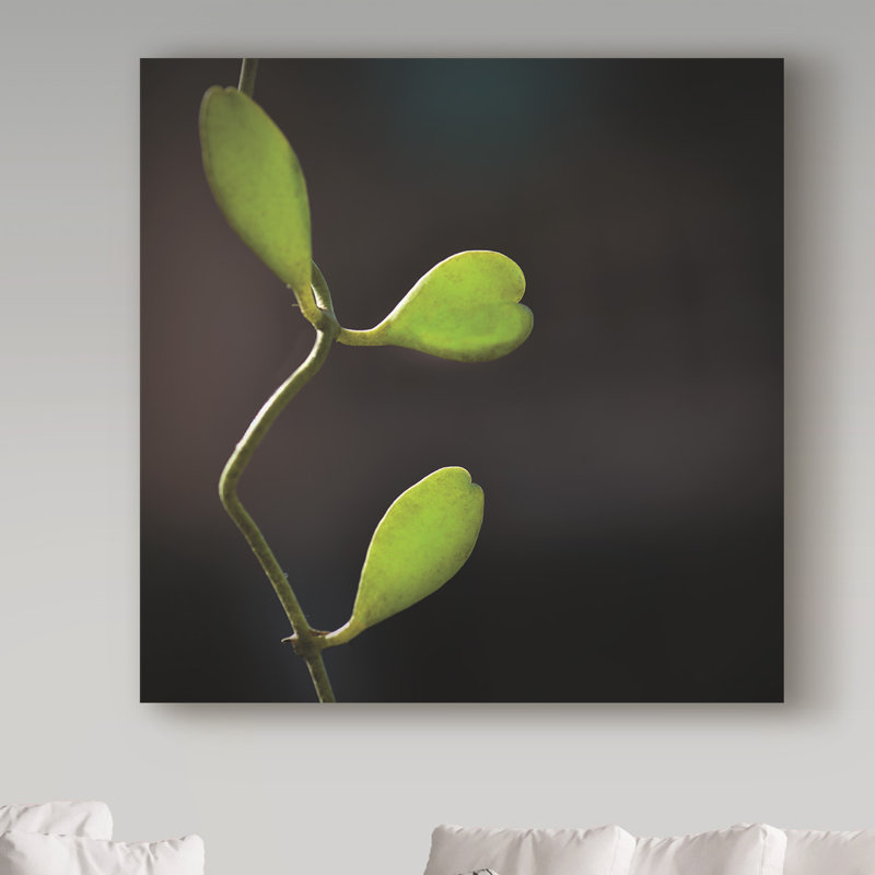 «Like a Heart», impression sur toile tendue, H 24 po x l 24 po x P 2 po
