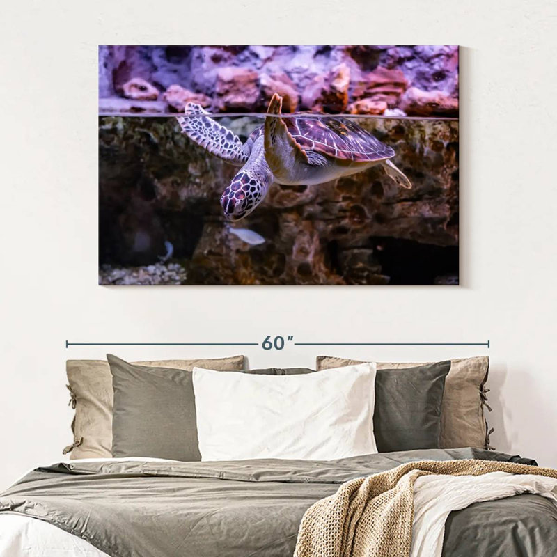 Brampt Turtle Aquarium, 34" H x 51" W