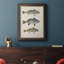 " Species Of Antique Fish III "-961370888-968837327