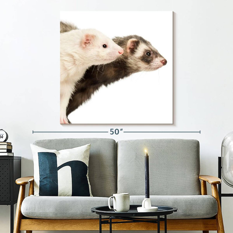 Crowle Two Curious Ferrets, 33" H x 33" W