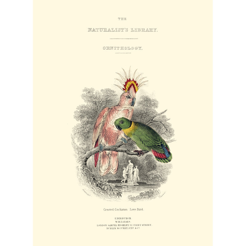 The Naturalists Library II by W.H. Lizars - Wrapped Canvas Painting, 122cm H x 81cm W