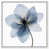Cadre flottant blanc