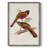 ElegantTrogonsIV Framed Print - Solid Wood-1067650612