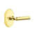 Unlacquered Brass