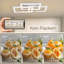 Azuolas LED Flush Mount