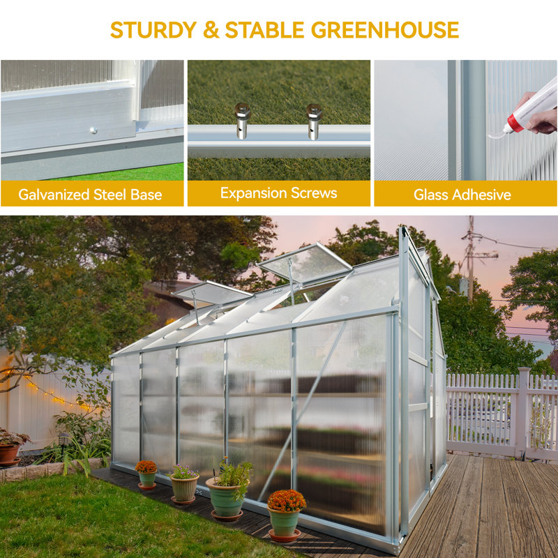 Serre en polycarbonate à double paroi 6 pi x 10 pi avec cadre en aluminium