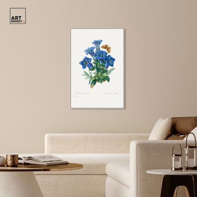 Art Remedy, reproduction d'art sur toile, Gentiana Acaulis par Pierre-Joseph