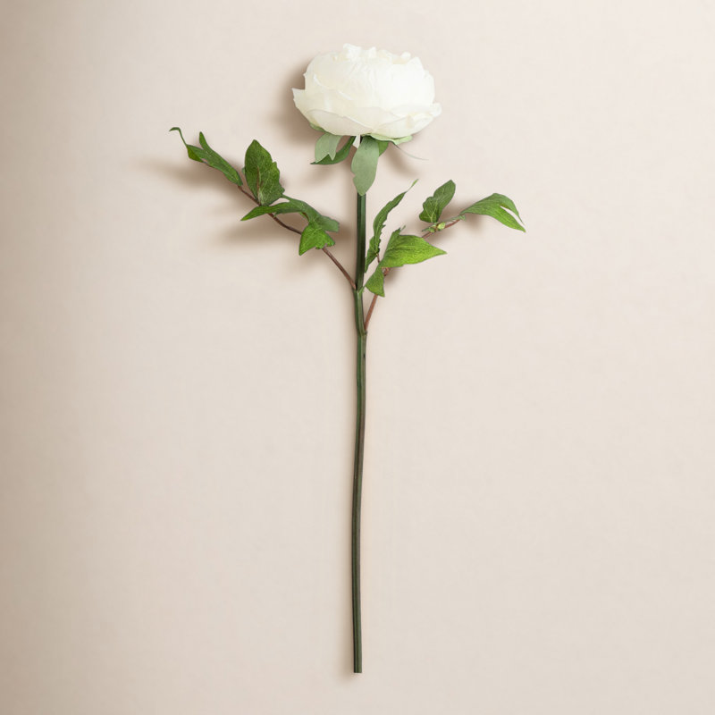 20 po Tiges de pivoines artificielles, ensemble de 3, Blanc