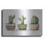 Art mural en métal Dakota Fields «Western Cacti Pots» par Svetlana Aleynikova-1745491597
