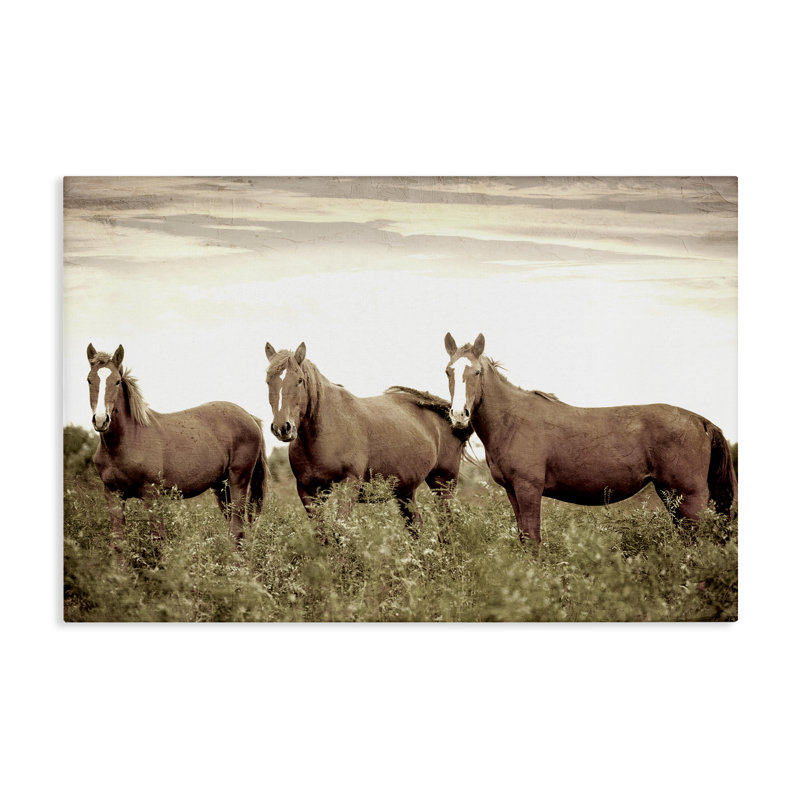 «Horse Trio Gaze», art mural sur toile par Kim Allen, H 30 po x l 45 po