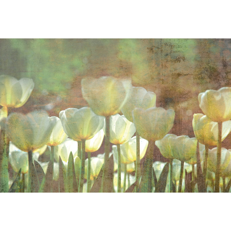 Murale abstraite tulipes blanches