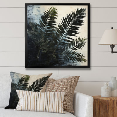 " Shadowed Black Spruce Leaves "