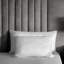 Microfiber Plush-1077656654