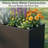 Elio 36 in. W x 10 in. H Metal Planters-441090407