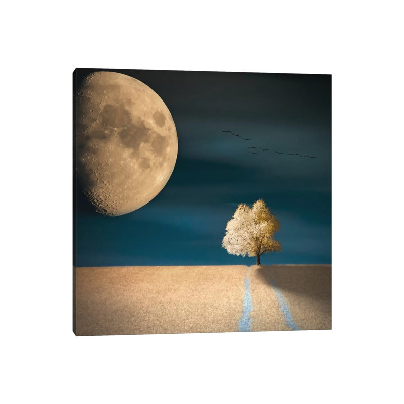 "OGM" par Piotr Krol - impression d'art graphique, H 18 po x l 18 po x 1,5 po, Toile tendue