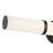 Rosh 24.25-in Black LED CCT Bath Bar with White Glass Shade-108202134