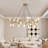20-Light Modern Chandelier Light-2009097391
