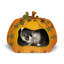 Habitation pour chat 18 po Bobbie-Joe