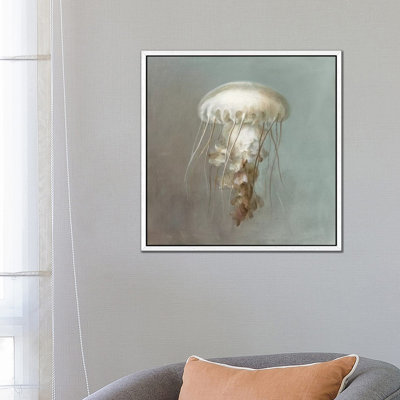 Treasures From The Sea VI by Danhui Nai - Print on Canvas