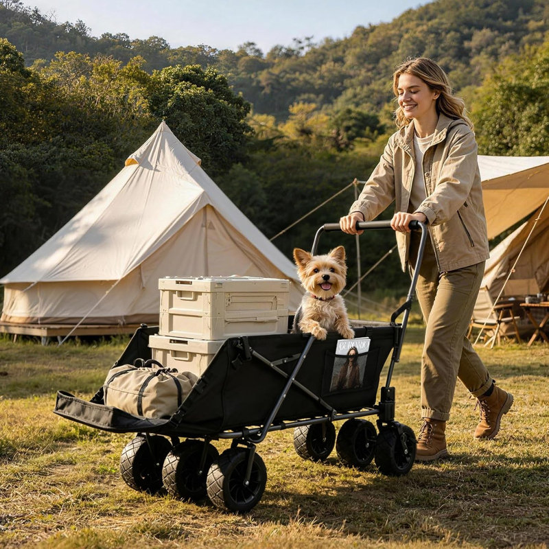Chariot pliant pour animaux avec rampe et 6 roues, grande poussette pour chien, noir