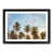 Black Framed