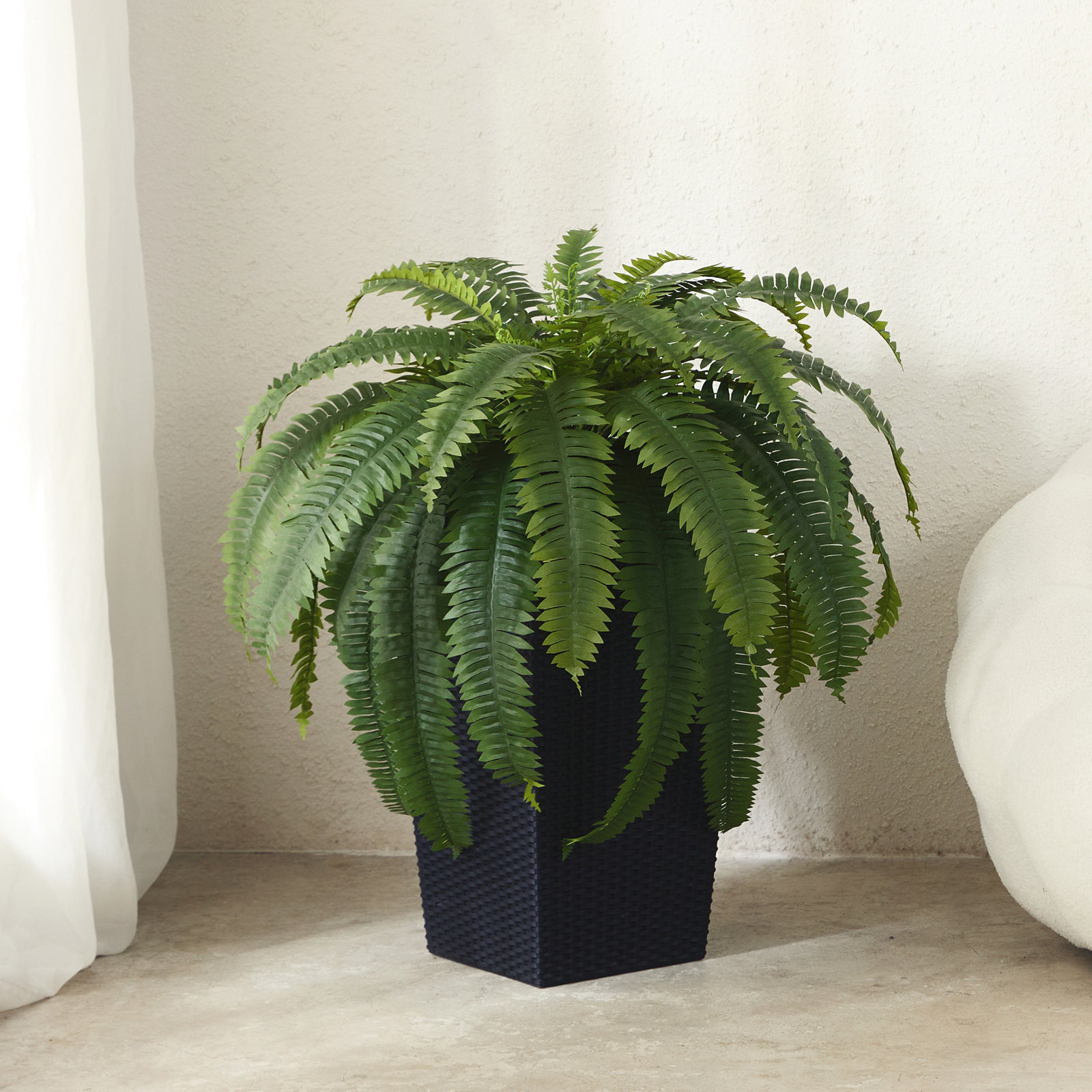 Adcock 30" Fern Plant in Decorative Vase, 1, Black