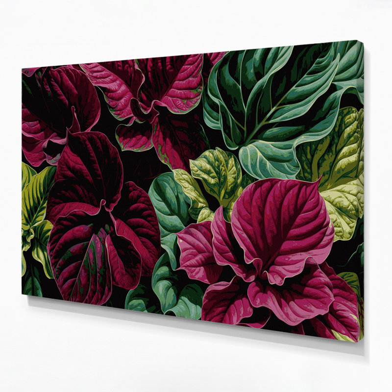 Art mural sur toile Botanical Coleus, H 11 po x l 14 po