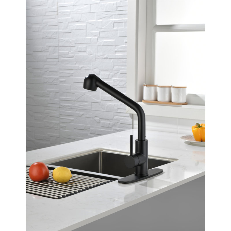 Robinets de cuisine avec douchette extractible, robinet d'évier de cuisine à poignée simple avec douchette extractible