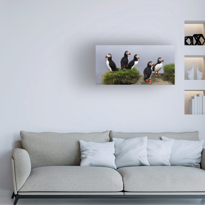 Eric Mattheyses I Dont Care Canvas Art