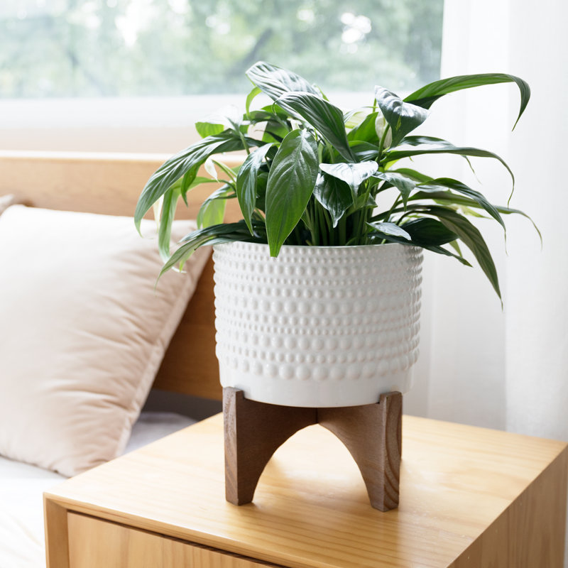 Tierney Ceramic Pot Planter, 9.6" H x 8" W x 8" D