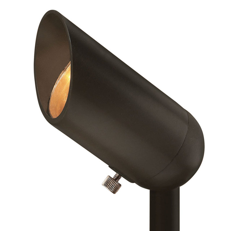 Hinkley Landscape Accent Spot Light 120V