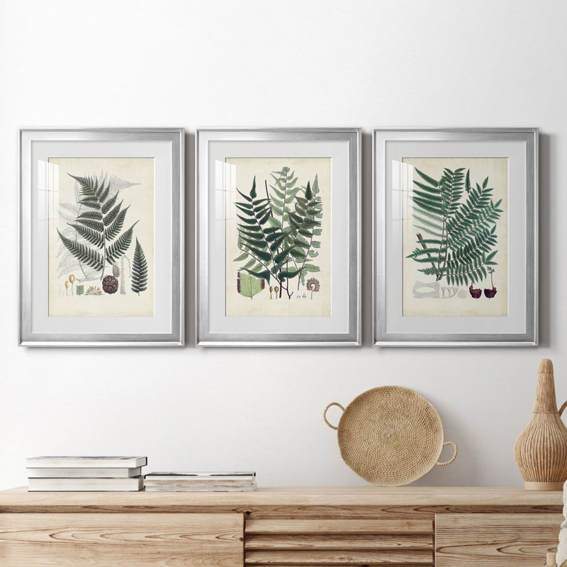 «Ferns VI», reproduction encadrée de qualité supérieure, prête à être accrochée, H 36,5 po x l 79,5 po x P 1 po, Blanc