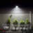 LED Flood Light - 3107 Lumen - 4000K - Bronze
