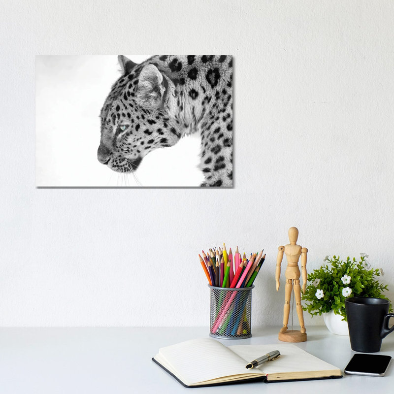 Big Cat B&W by David Gardiner - Wrapped Canvas Print, 20.32cm H x 30.48cm W