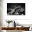 Brampt Seal Love-108122284