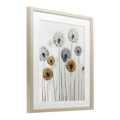 «Rustic Dandelions croissance», reproduction encadrée sous verre, design by Creative Studio