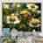 Cadre naturel flottant