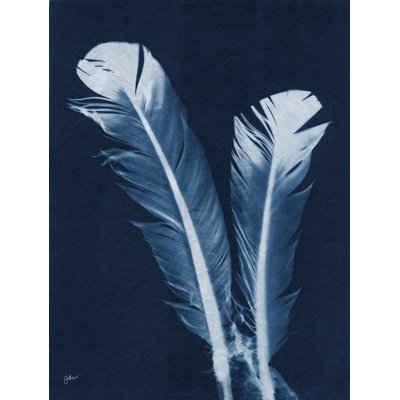 Indigo Feathers I par Julie Norkus