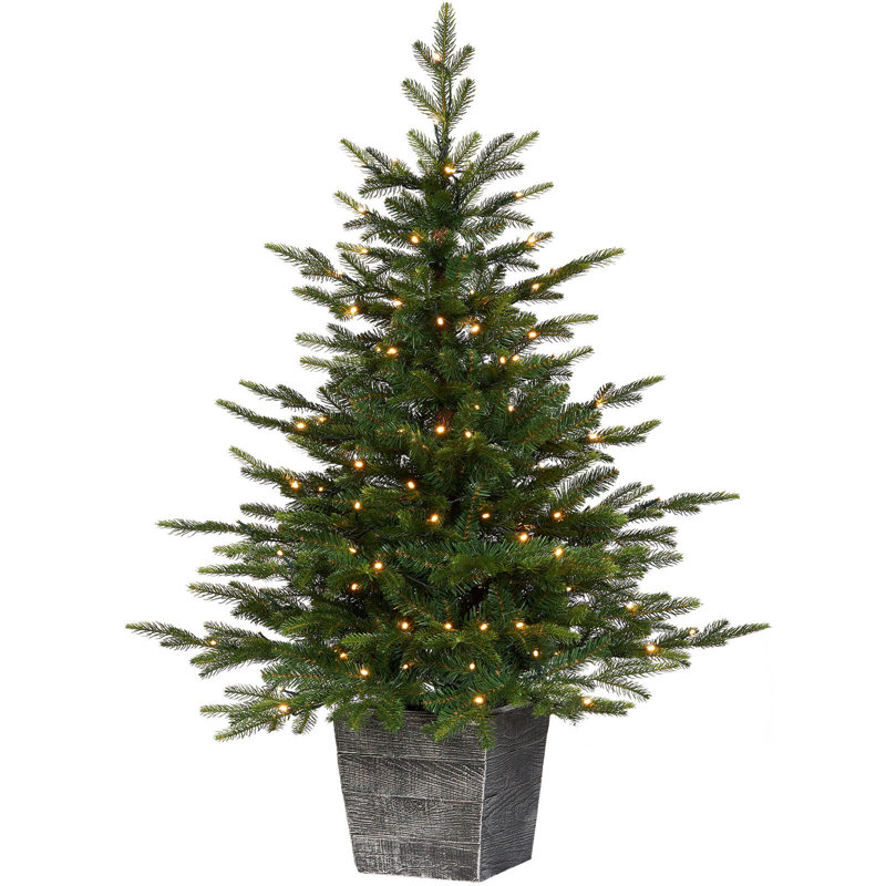 121.92cm H Lighted Artificial Fir Christmas Tree