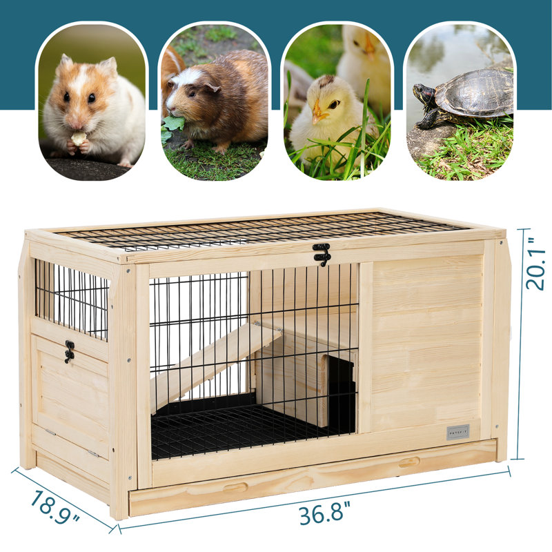 Cage à lapin naine spacieuse avec plateau en plastique, construction en bois, fuite, entrées multiples, assemblage sans effort pour animaux de compagnie, étapes faciles