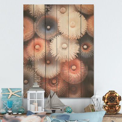 Undersea Magic Coastal Pink Coral - Coastal Coral Under Water Wood Wall Art On Natural Pine Wood