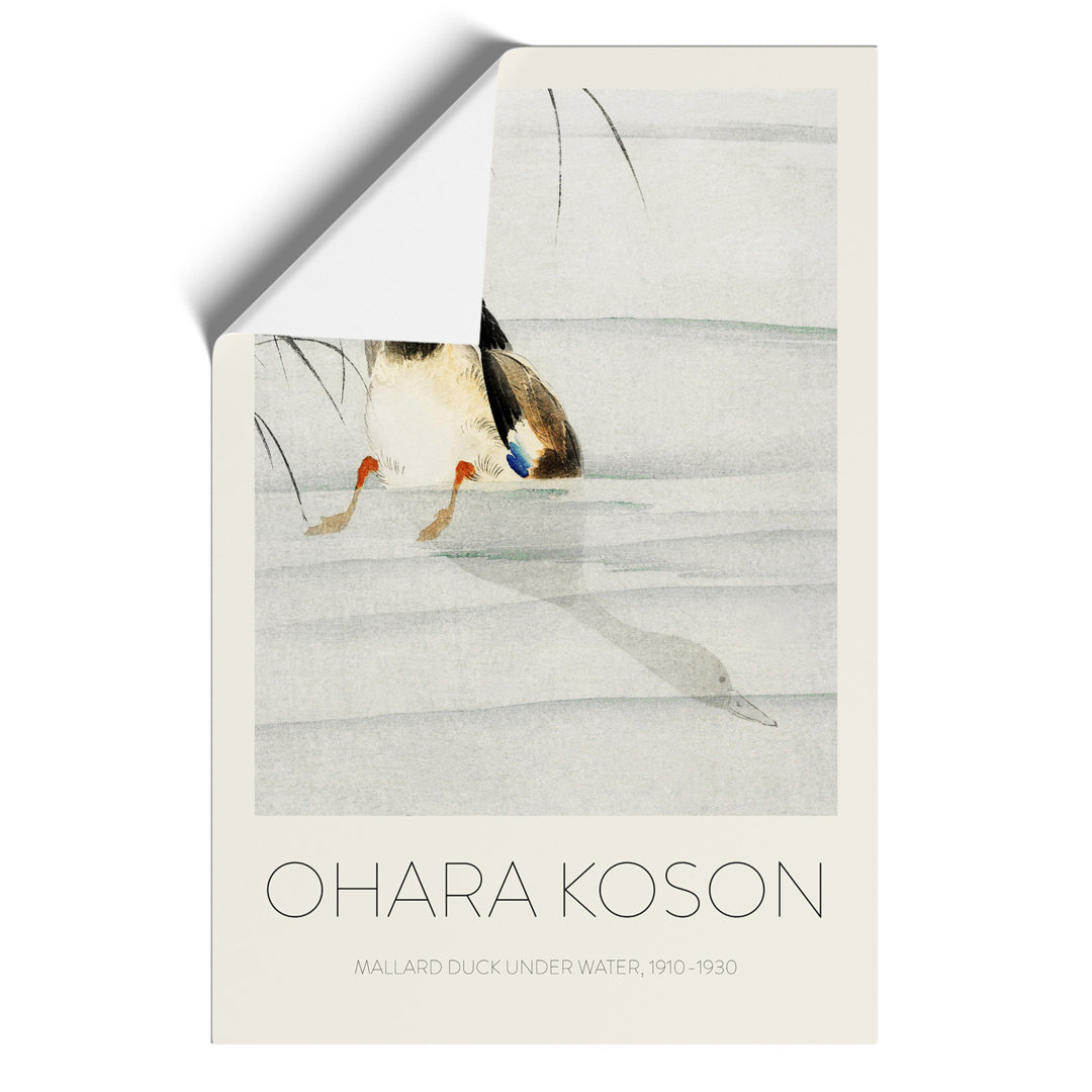 Mallard Duck Under Water Print by Ohara Koson - Frameless Print